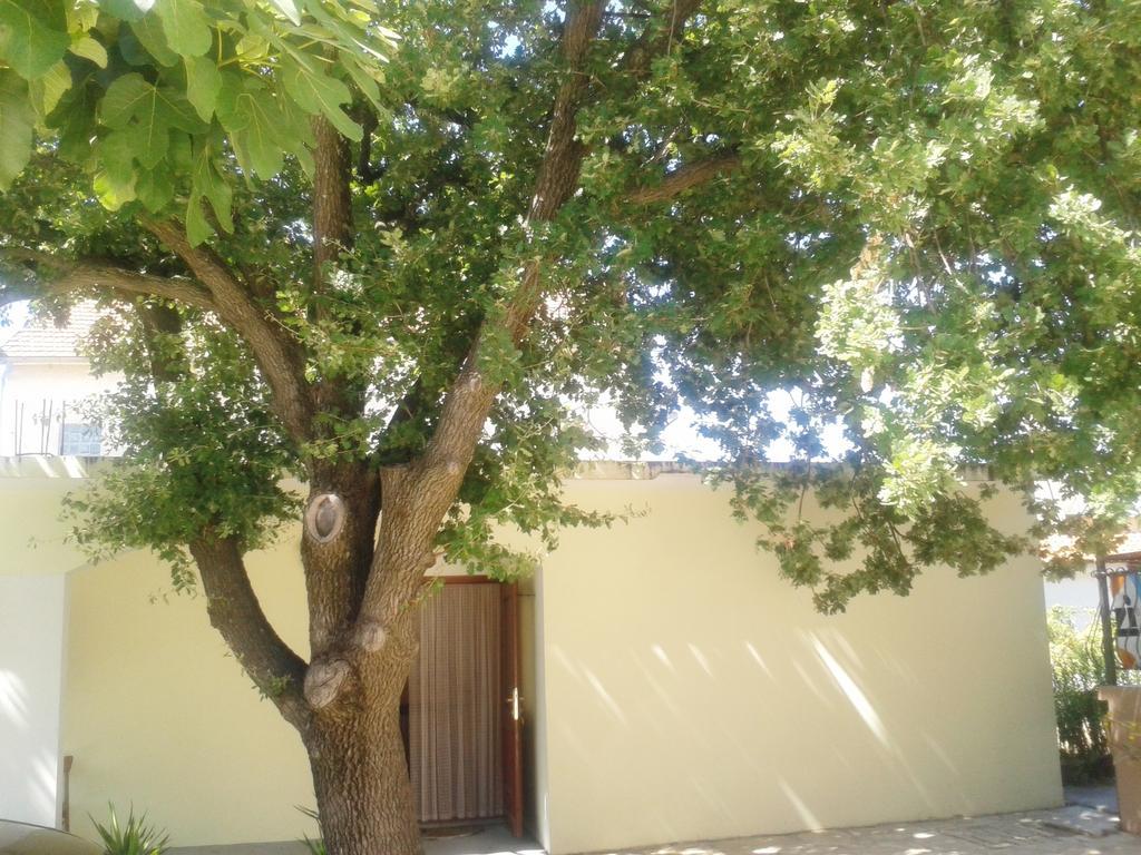 ביוגראד נה מורו Apartments Angela מראה חיצוני תמונה